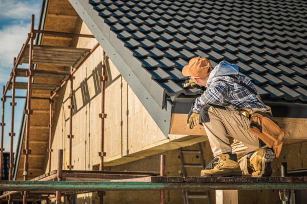 Best Solar Panel Roofing Installation  in West Livingston, TX