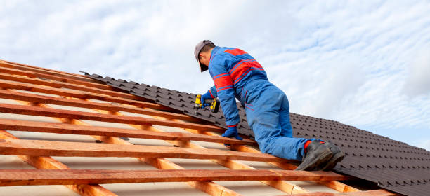 Best Roof Insulation Installation  in West Livingston, TX